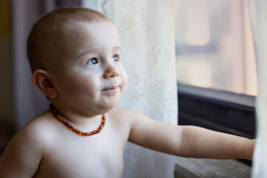 amber-teething-necklace-powells-owls