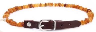 Baltic Amber Dog Collar and Amber Cat Collar