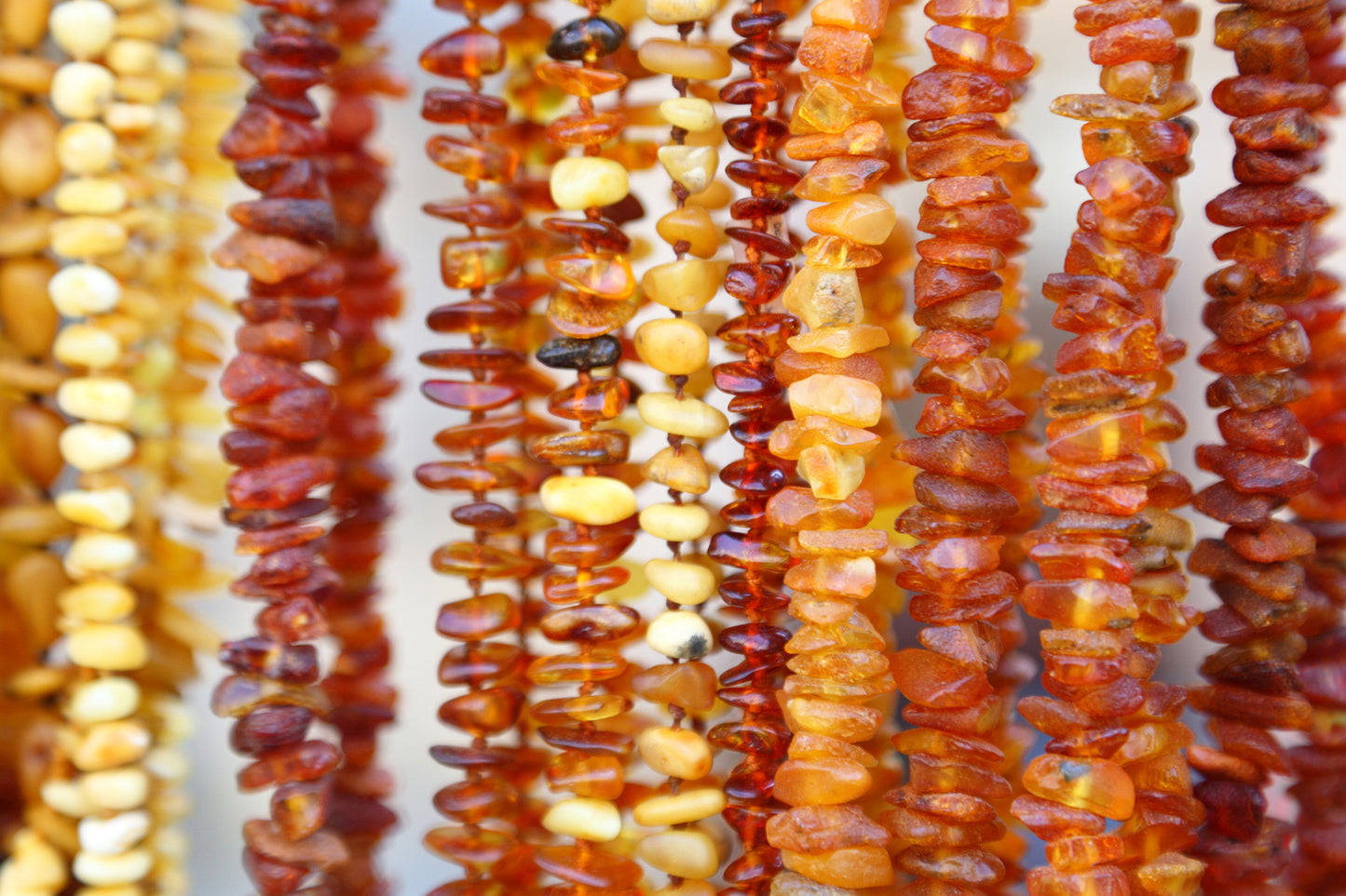 Baltic Amber Teething Necklace - Powell's Owls