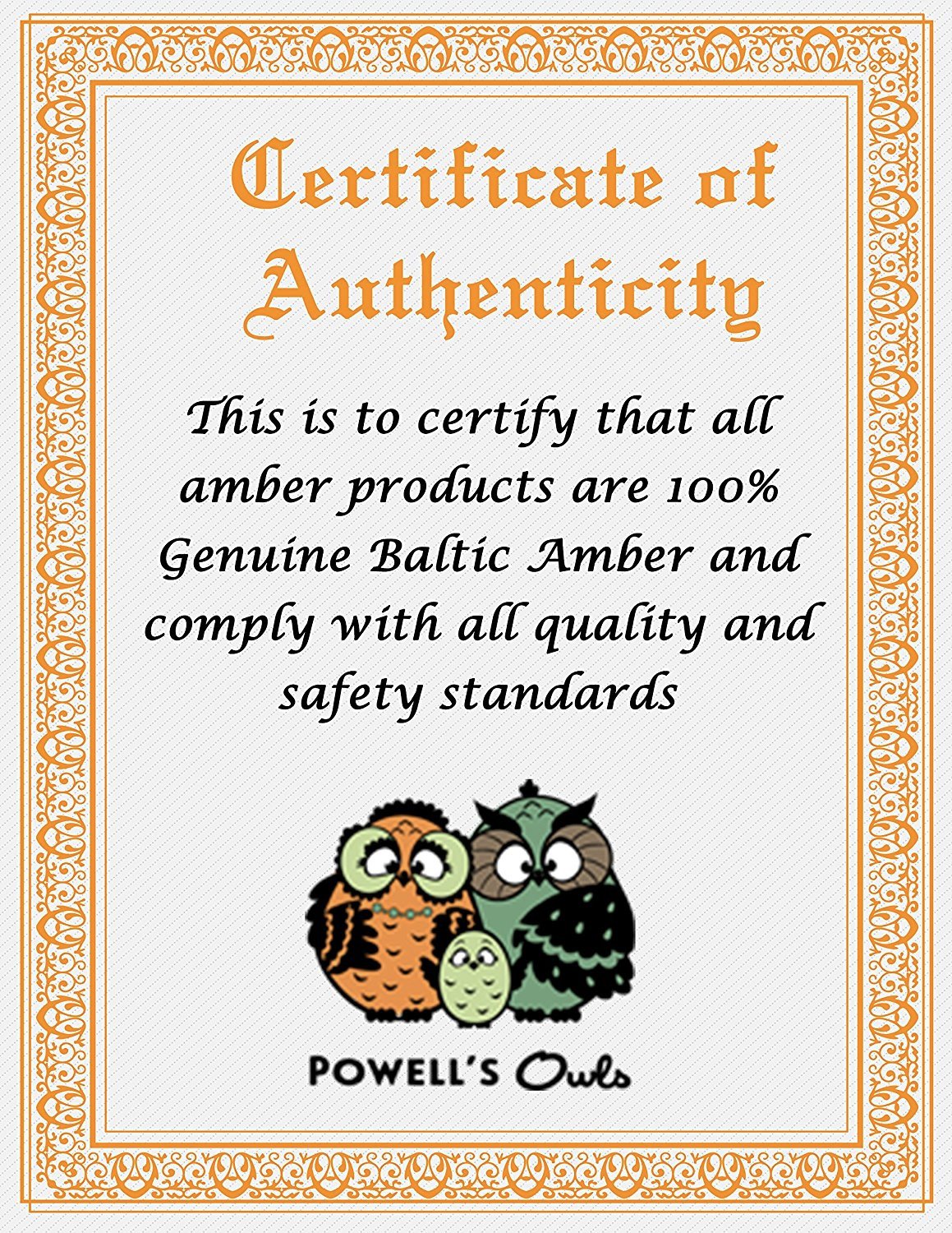 Baltic Amber Teething Necklace - Powell's Owls