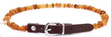 Baltic Amber Dog Collar and Amber Cat Collar 