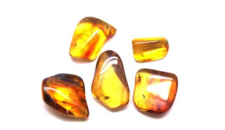 The history of amber goes back many years 