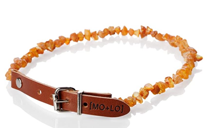 amber dog collar to help dogs with fleas and ticks 
