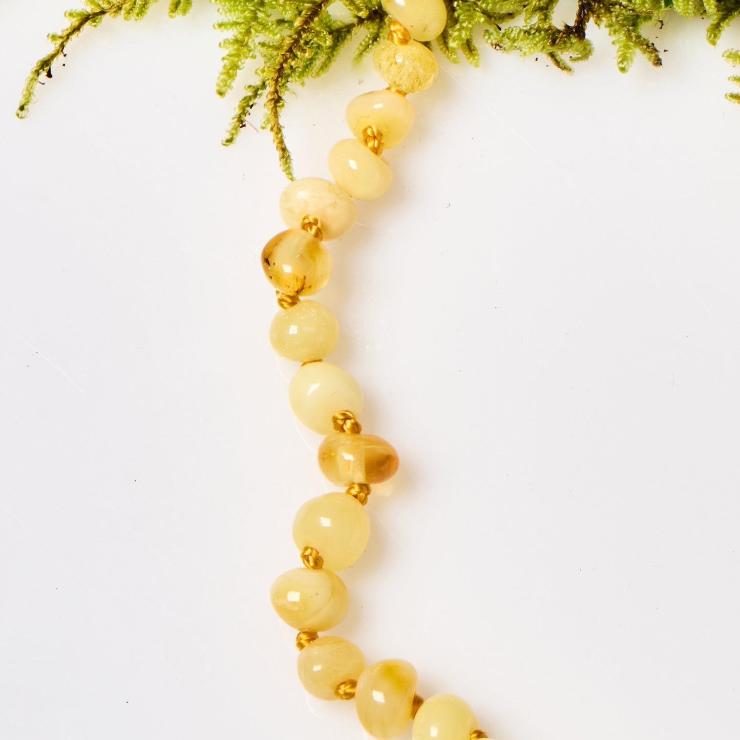 Baltic Amber Necklace - Polished Milk - Children's