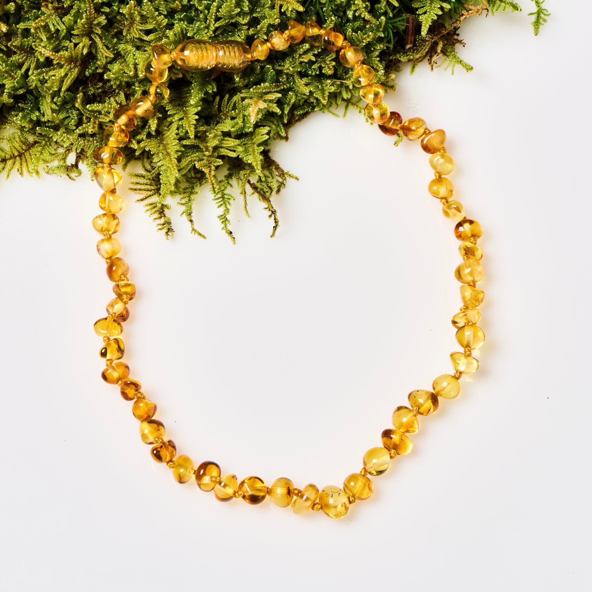 A polished honey-colored Baltic amber necklace for children, displayed on a bed of moss