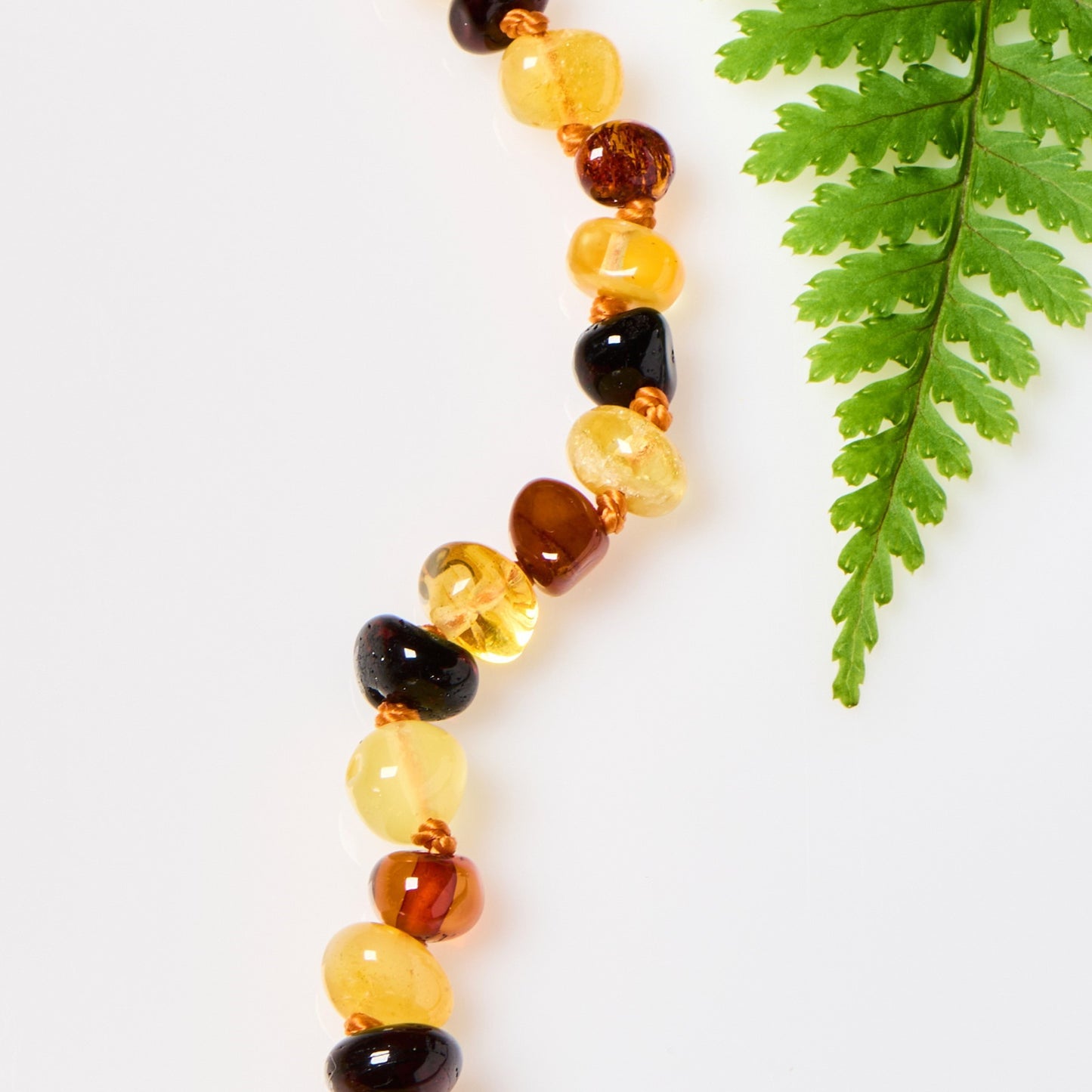 Baltic Amber Necklace - Polished Multicolor - Children's